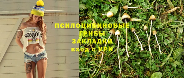 гидра Лихославль