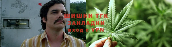гидра Лихославль