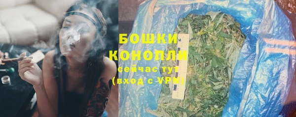 гидра Лихославль