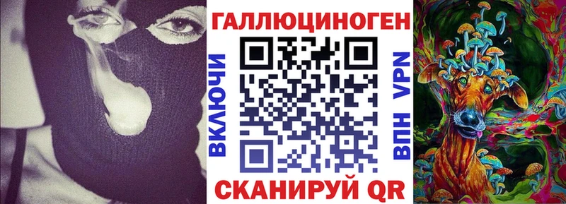 Псилоцибиновые грибы прущие грибы  Купить  Пионерский 